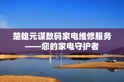 楚雄元谋数码家电维修服务——您的家电守护者