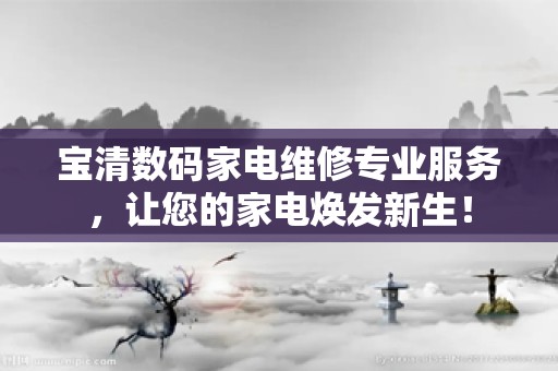 宝清数码家电维修专业服务，让您的家电焕发新生！