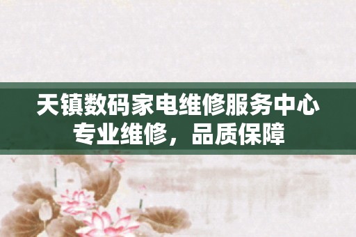 天镇数码家电维修服务中心专业维修，品质保障