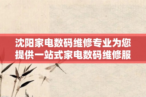 沈阳家电数码维修专业为您提供一站式家电数码维修服务