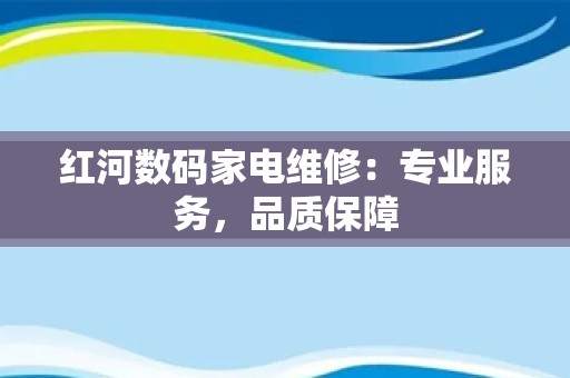 红河数码家电维修：专业服务，品质保障