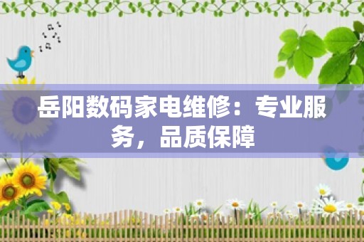 岳阳数码家电维修：专业服务，品质保障