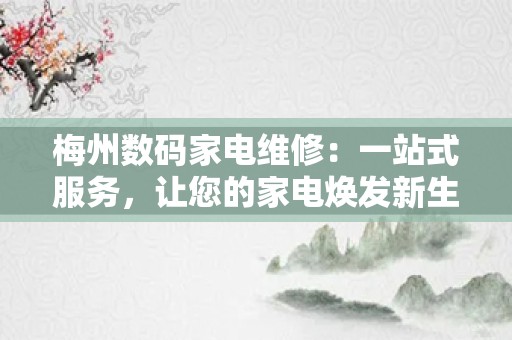 梅州数码家电维修：一站式服务，让您的家电焕发新生！