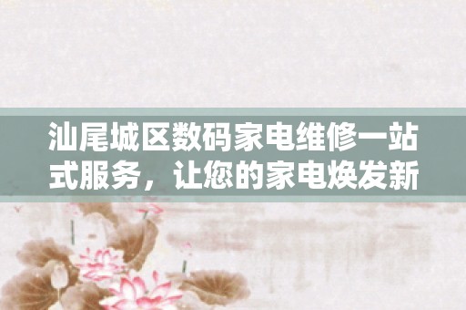 汕尾城区数码家电维修一站式服务，让您的家电焕发新生！