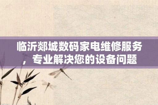 临沂郯城数码家电维修服务，专业解决您的设备问题