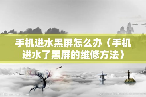 手机进水黑屏怎么办（手机进水了黑屏的维修方法）