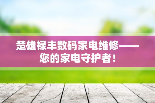 楚雄禄丰数码家电维修——您的家电守护者！