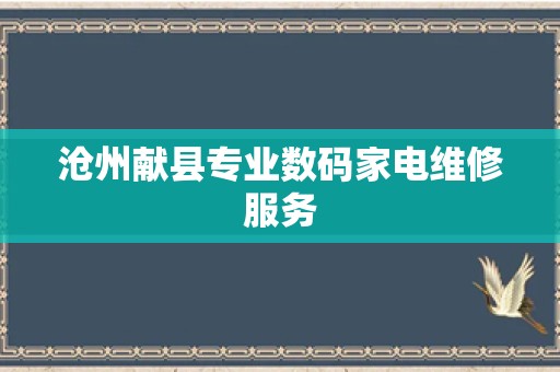 沧州献县专业数码家电维修服务