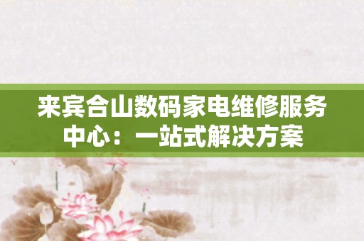 来宾合山数码家电维修服务中心：一站式解决方案