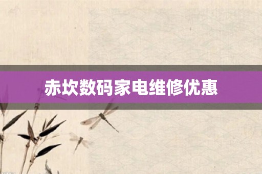 赤坎数码家电维修优惠