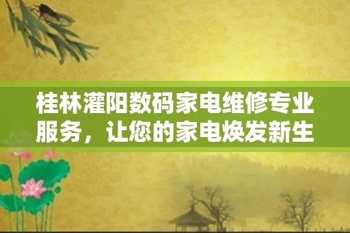 桂林灌阳数码家电维修专业服务，让您的家电焕发新生！