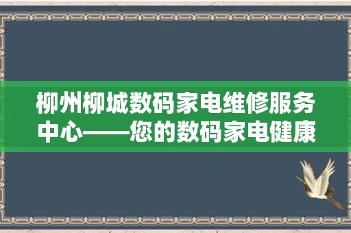 柳州柳城数码家电维修服务中心——您的数码家电健康守护者