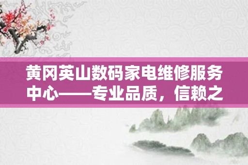 黄冈英山数码家电维修服务中心——专业品质，信赖之选
