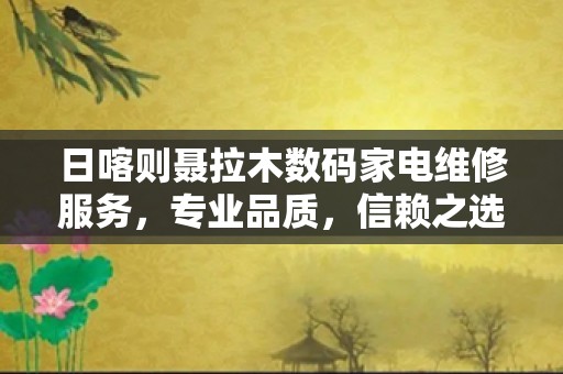 日喀则聂拉木数码家电维修服务，专业品质，信赖之选！
