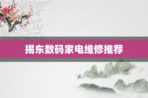 揭东数码家电维修推荐