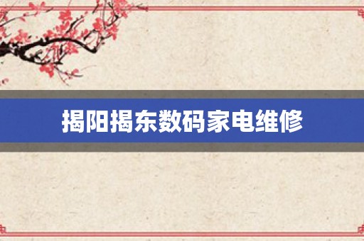 揭阳揭东数码家电维修
