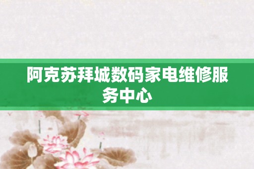 阿克苏拜城数码家电维修服务中心