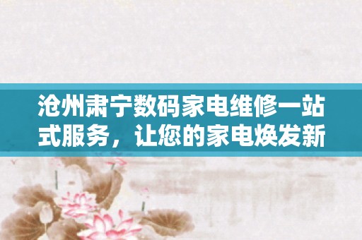 沧州肃宁数码家电维修一站式服务，让您的家电焕发新生！