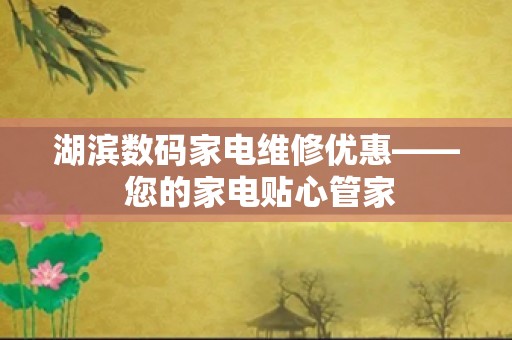 湖滨数码家电维修优惠—— 您的家电贴心管家