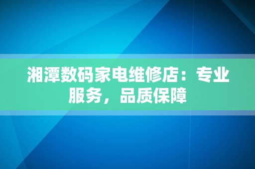 湘潭数码家电维修店：专业服务，品质保障