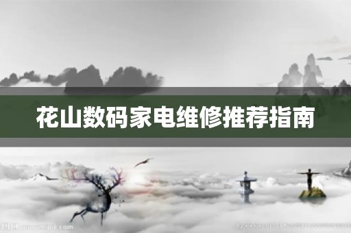 花山数码家电维修推荐指南