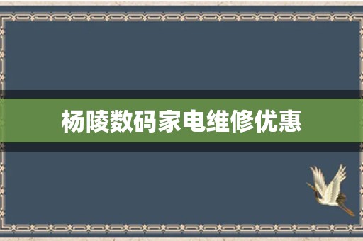 杨陵数码家电维修优惠