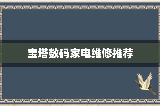 宝塔数码家电维修推荐