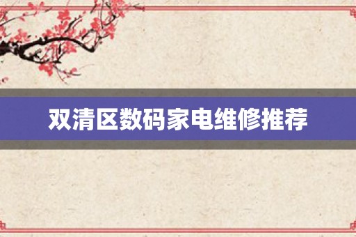 双清区数码家电维修推荐
