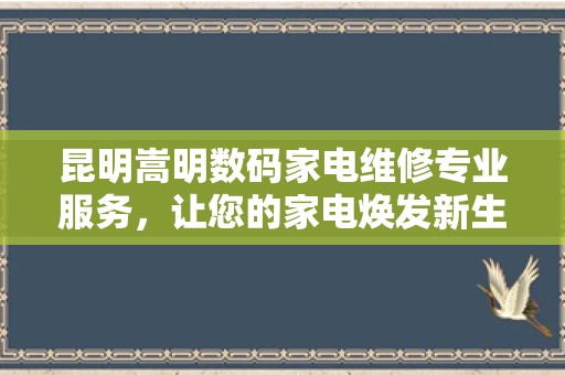 昆明嵩明数码家电维修专业服务，让您的家电焕发新生