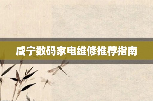 咸宁数码家电维修推荐指南