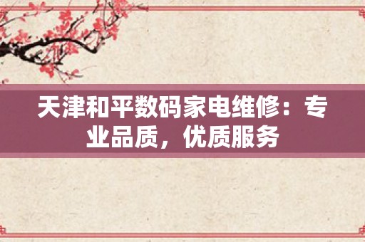 天津和平数码家电维修：专业品质，优质服务