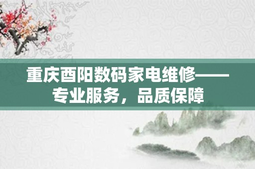 重庆酉阳数码家电维修——专业服务，品质保障