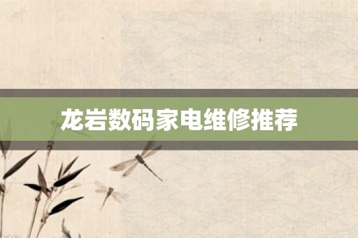 龙岩数码家电维修推荐