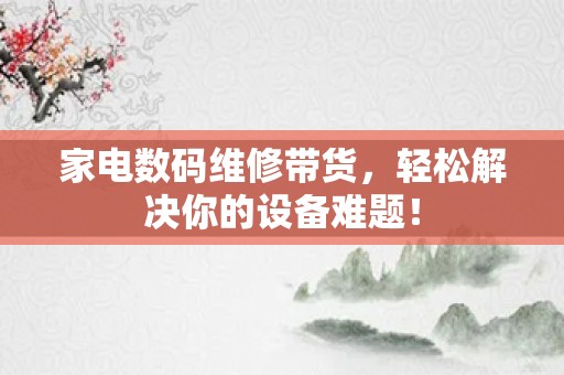 家电数码维修带货，轻松解决你的设备难题！