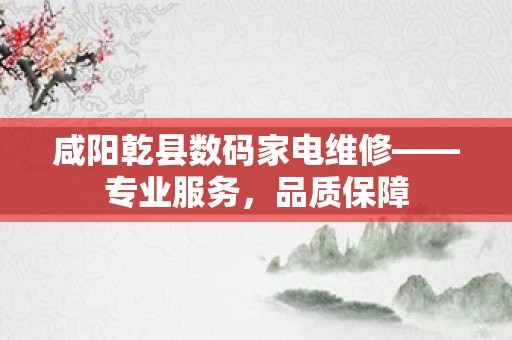咸阳乾县数码家电维修——专业服务，品质保障