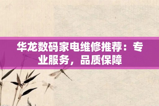 华龙数码家电维修推荐：专业服务，品质保障