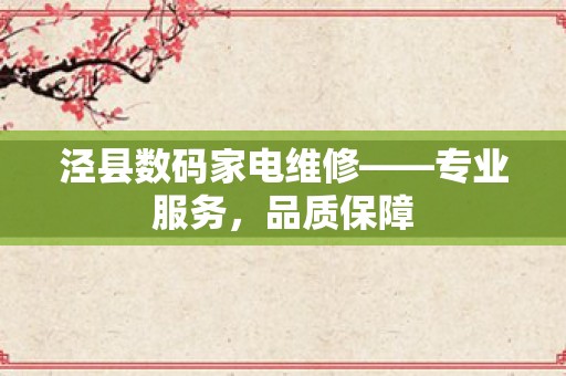 泾县数码家电维修——专业服务，品质保障