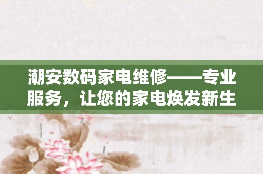 潮安数码家电维修——专业服务，让您的家电焕发新生