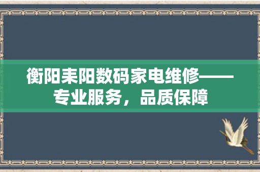 衡阳耒阳数码家电维修——专业服务，品质保障