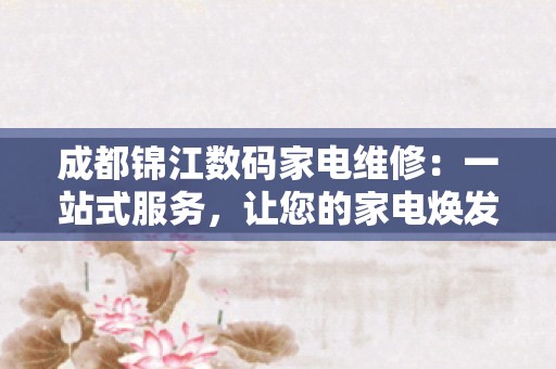 成都锦江数码家电维修：一站式服务，让您的家电焕发新生