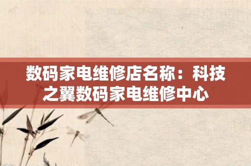 数码家电维修店名称：科技之翼数码家电维修中心