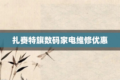 扎赉特旗数码家电维修优惠
