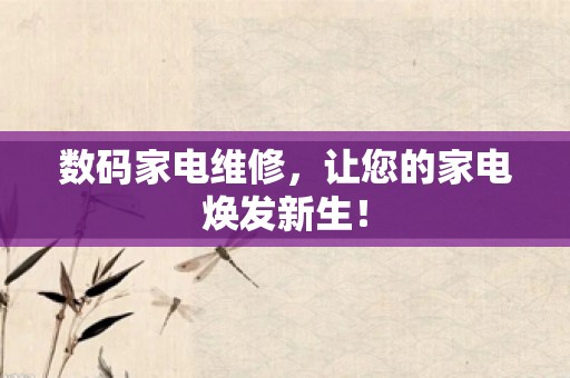 数码家电维修，让您的家电焕发新生！