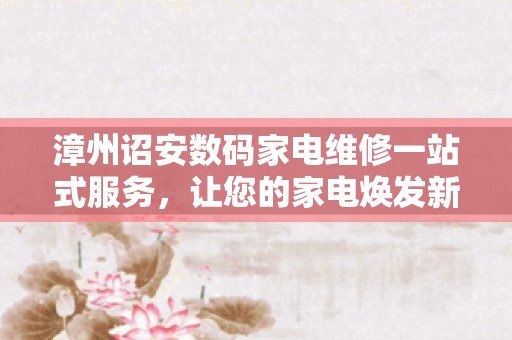 漳州诏安数码家电维修一站式服务，让您的家电焕发新生