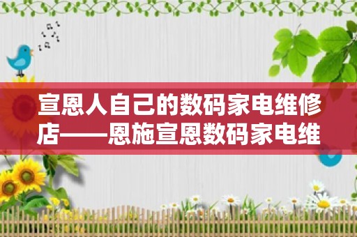 宣恩人自己的数码家电维修店——恩施宣恩数码家电维修