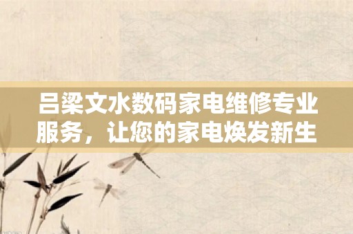 吕梁文水数码家电维修专业服务，让您的家电焕发新生！
