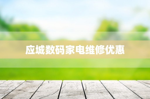 应城数码家电维修优惠