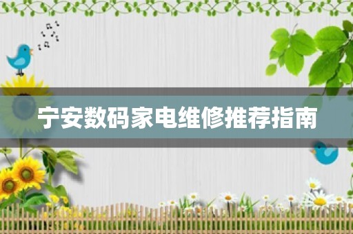 宁安数码家电维修推荐指南