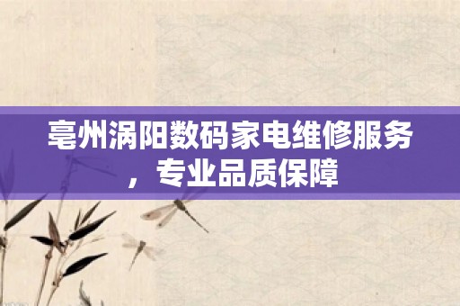 亳州涡阳数码家电维修服务，专业品质保障