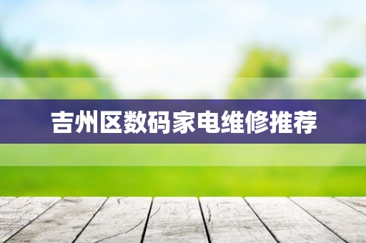 吉州区数码家电维修推荐